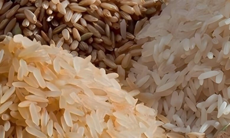 Rice