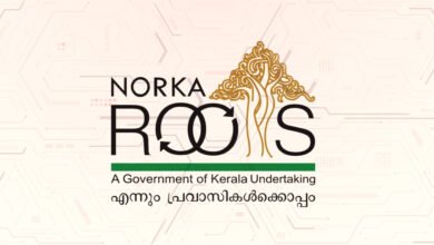Noorks Roots