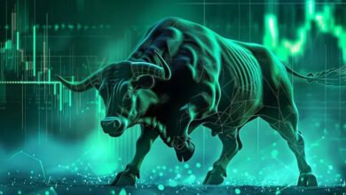 Bull Market