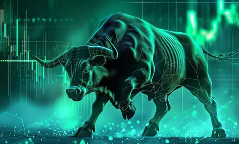 Bull Market